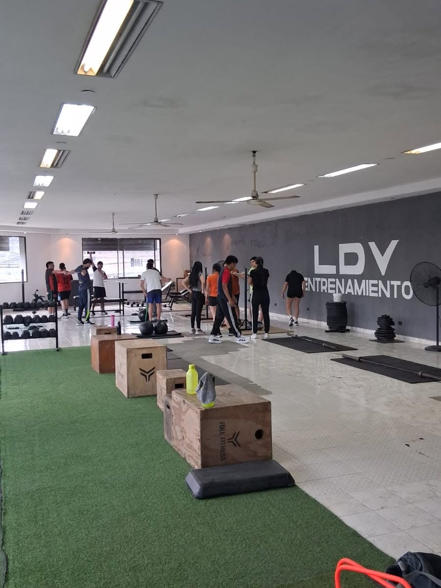 Estudiantes realizando actividades prácticas en el gimnasio LDV